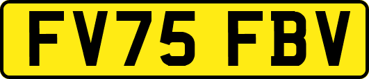 FV75FBV