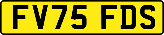 FV75FDS