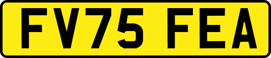 FV75FEA