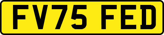 FV75FED
