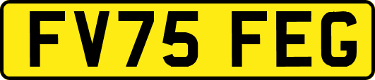FV75FEG