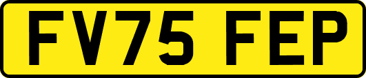 FV75FEP