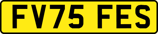 FV75FES