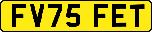 FV75FET