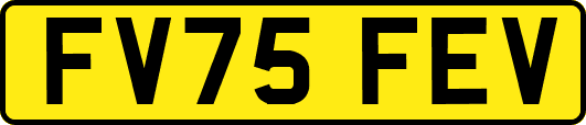 FV75FEV