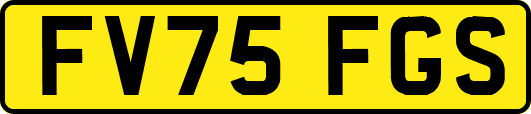 FV75FGS