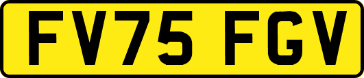 FV75FGV
