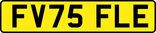 FV75FLE