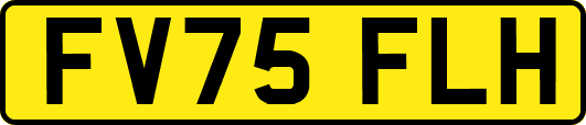 FV75FLH