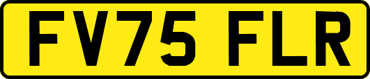 FV75FLR