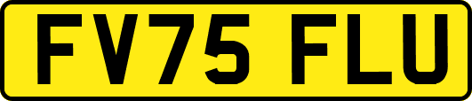 FV75FLU