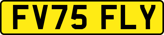 FV75FLY