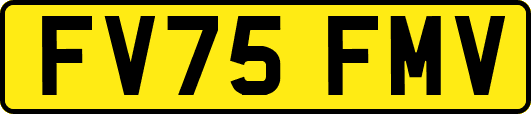FV75FMV