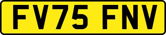 FV75FNV