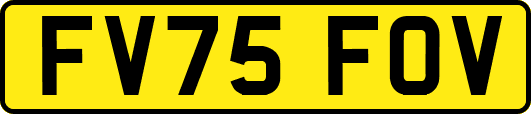 FV75FOV