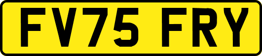 FV75FRY
