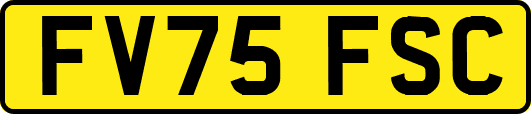 FV75FSC