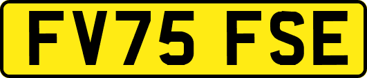 FV75FSE