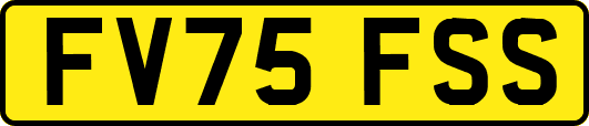 FV75FSS