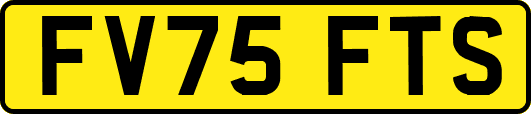 FV75FTS