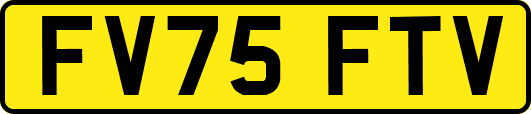 FV75FTV
