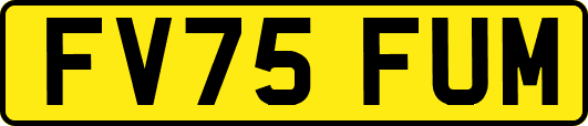 FV75FUM