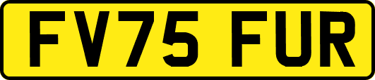 FV75FUR
