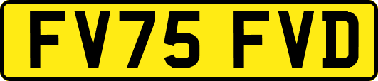 FV75FVD