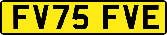 FV75FVE