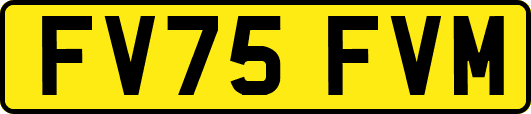 FV75FVM
