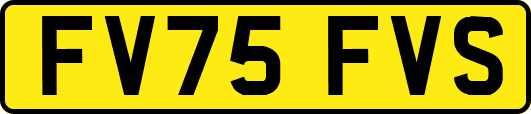 FV75FVS