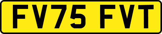 FV75FVT