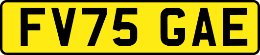 FV75GAE