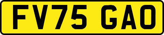 FV75GAO