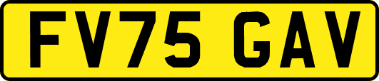 FV75GAV