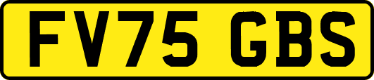 FV75GBS