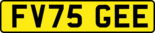 FV75GEE