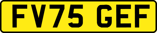 FV75GEF
