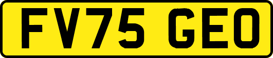 FV75GEO