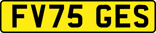 FV75GES