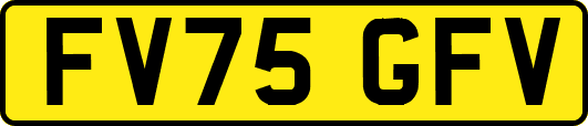 FV75GFV