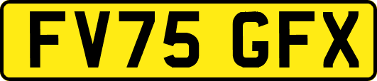 FV75GFX