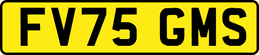 FV75GMS