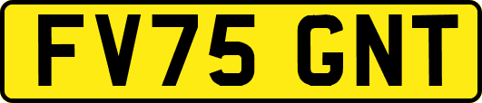 FV75GNT