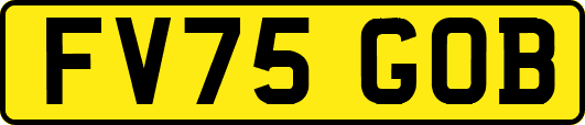 FV75GOB