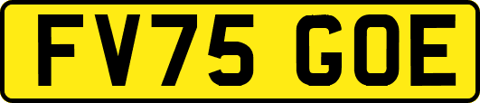 FV75GOE