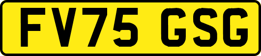 FV75GSG