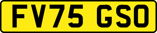 FV75GSO