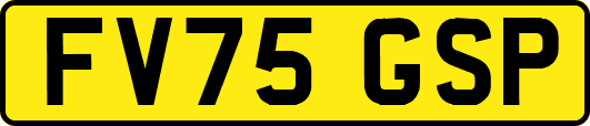 FV75GSP