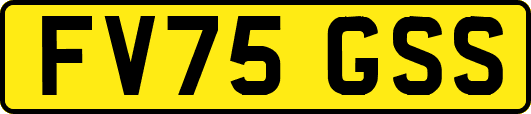 FV75GSS